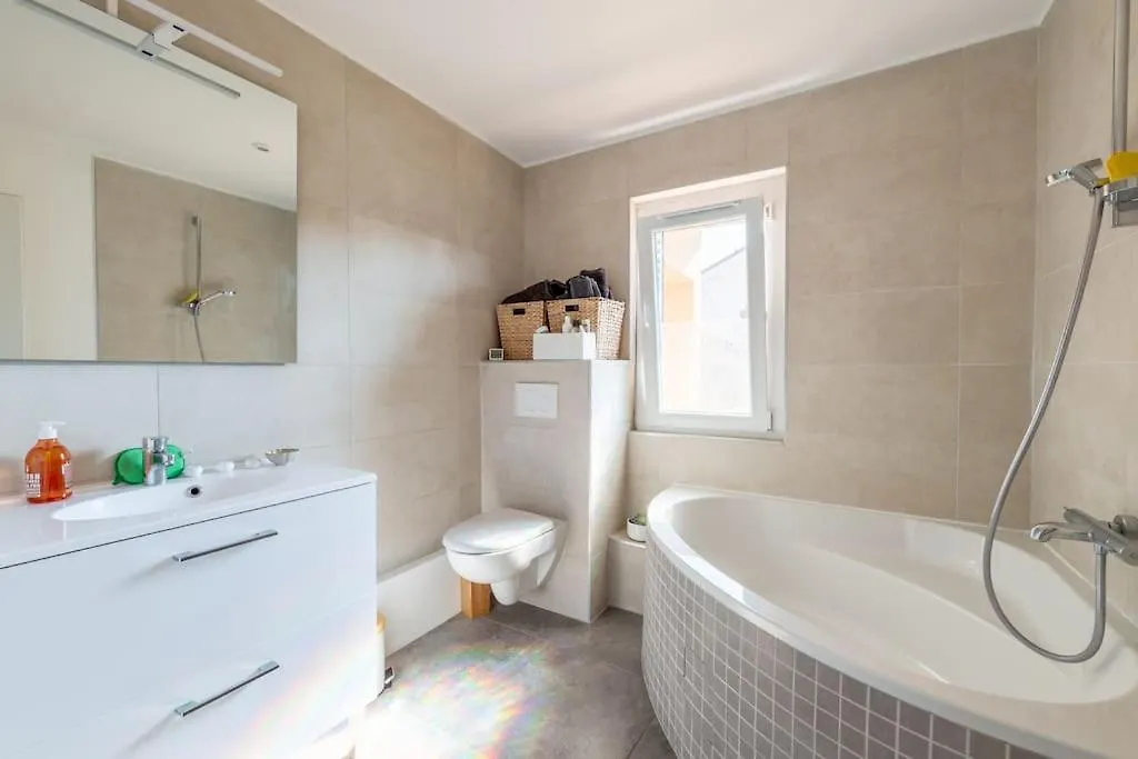 Accords Parfaits Famille Villa Villeurbanne 0*,